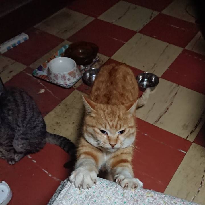 D54893f6 35ff 4297 9e56 e75e65c135b1 1582920037454