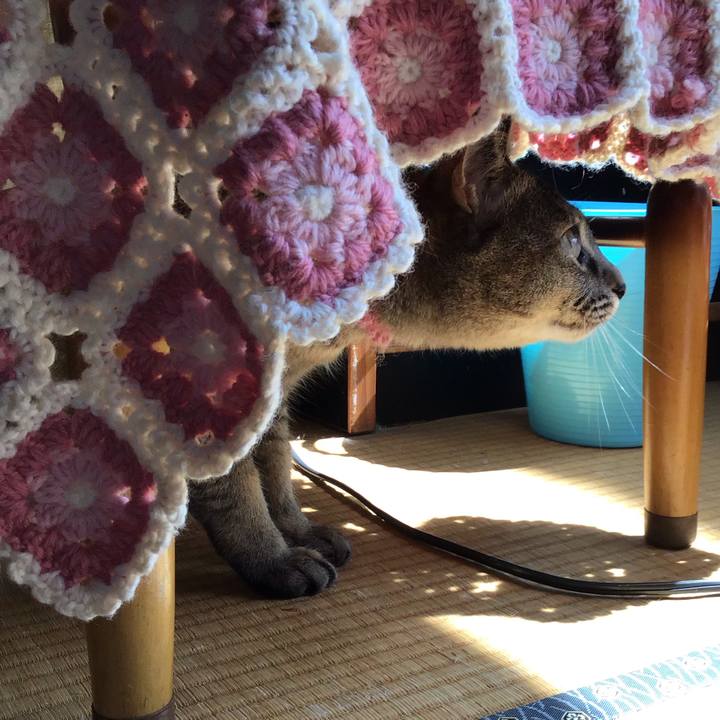 D548a88d 7e30 4b59 beb6 a002c5450c24 1593393104890