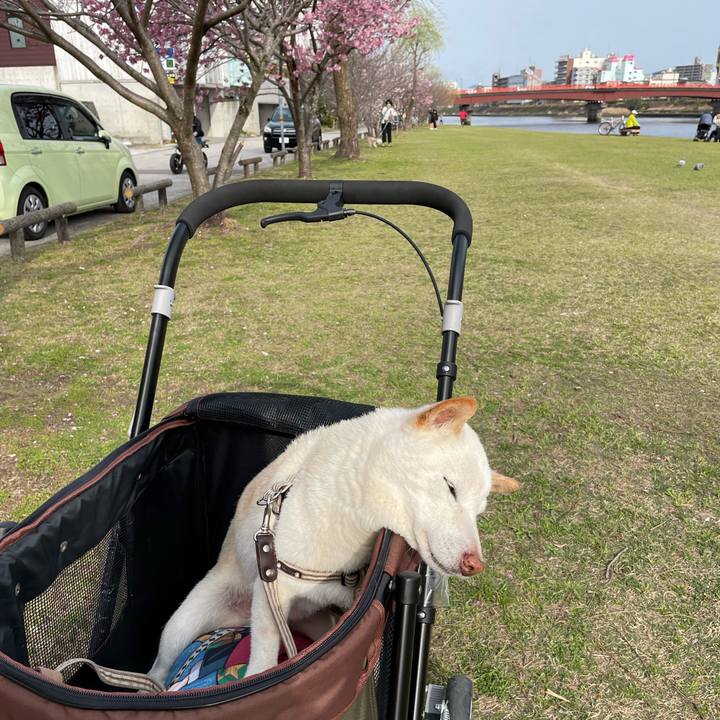 D548aa3e 33c3 4606 a7c0 c6fae7853631 1648210627845