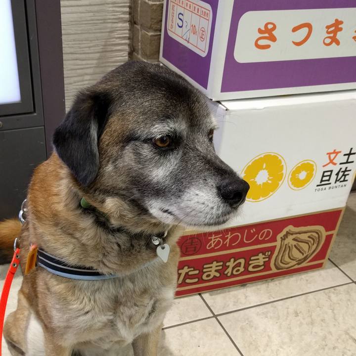 D548b0ee c5c8 4f64 b507 8518347b5e1f 1519292896133