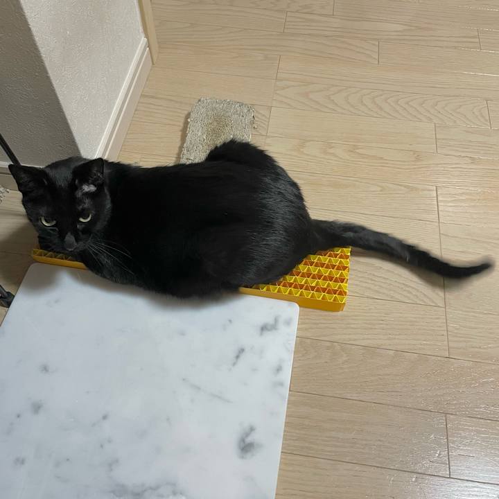 D548d285 4b28 485d a239 a74c9fef7f7c 1662382373992