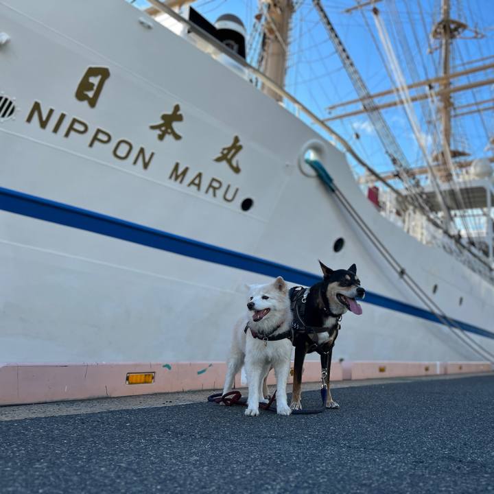 D548e3e9 65ce 4802 8df1 9cd4784e4d72 1760577614366