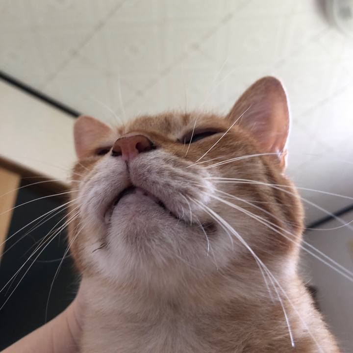 D548f64f 158a 4543 a9d8 b8d96c24910f 1693624825381