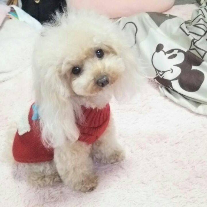 D5490608 c028 415a 94ec 88bb8093c801 1544054127341