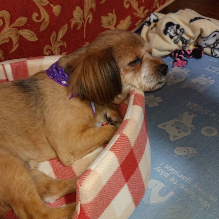 D5490976 f2b8 4b51 bedd aab0f8fd8880 1571223497448