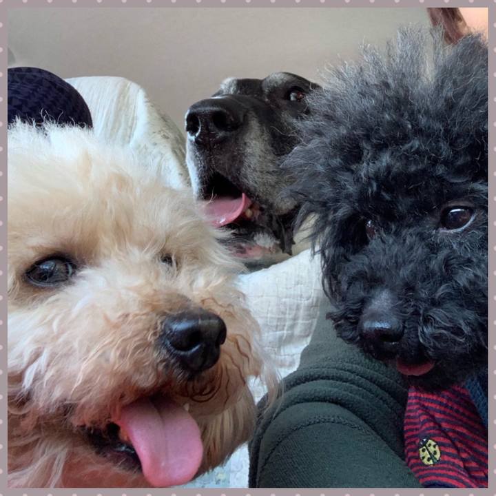 D5491412 ab29 43a7 b07b fd014d8ac772 1552788015499