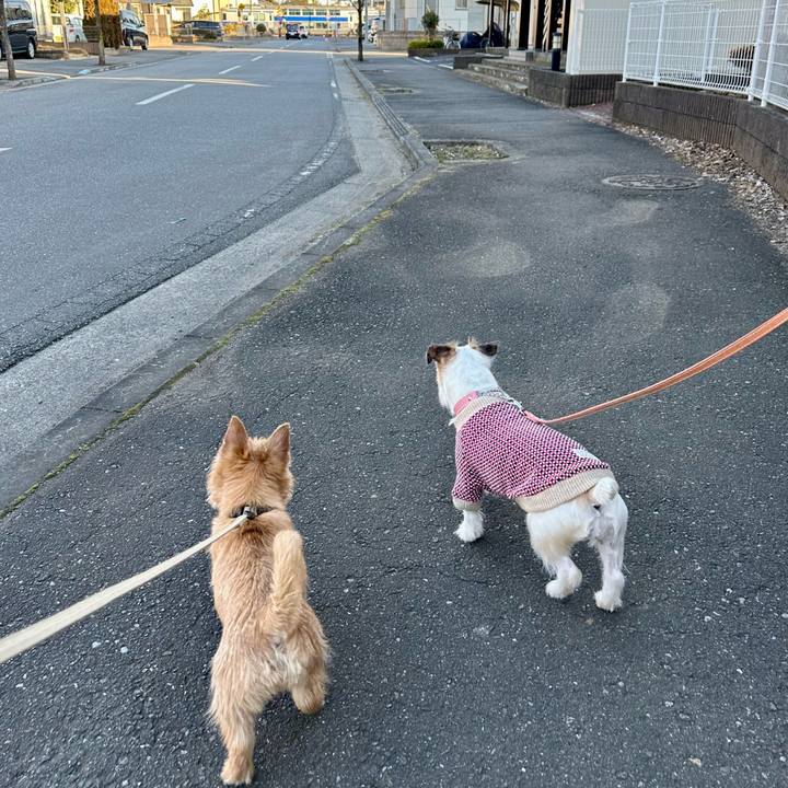 D5493b18 2b02 47e6 82a5 aee29b8a76a6 1707743640474