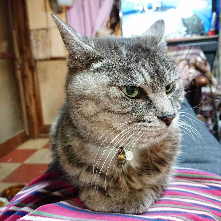 D5493c34 42d6 49fb 884f 345ed27b942e 1575632449601