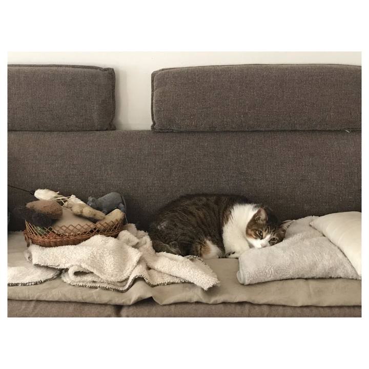 D549484e 4b1d 4bbc 89c5 9c963aa950b7 1648967277275