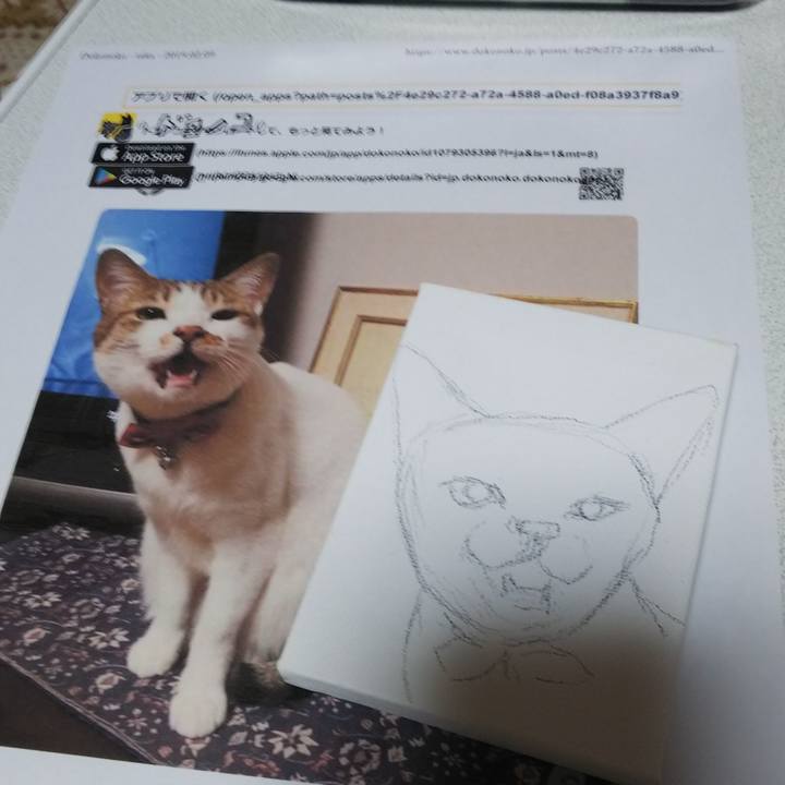 D54973c2 3a14 40b3 b4f9 987327722c49 1549870536314