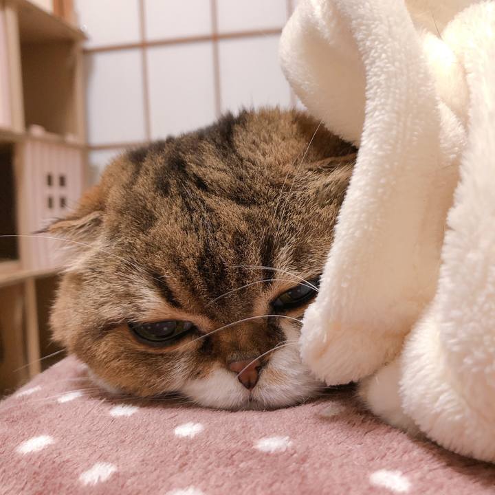 D5499587 af8a 4ee2 846a 898e65ddd33e 1606351162738