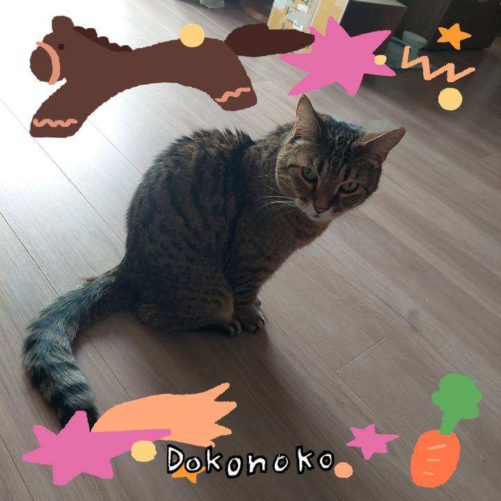 D5499be1 70d2 46b2 90ef 10c56ce5e476 1772170483158