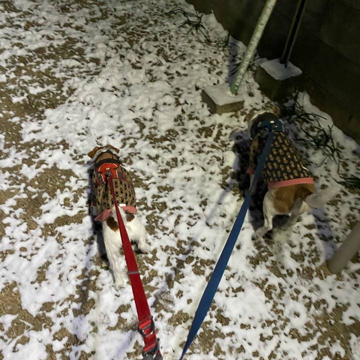 D549adff f33a 4d14 ac61 c84413be7fa8 1674598138241