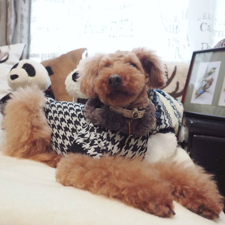 D549b5c6 14c1 4105 8cc2 e8de4749250b 1547961028400