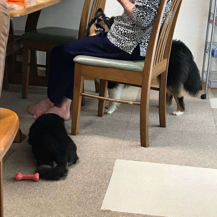 D549db4d a6cd 4001 954e 52a17295dbf6 1530655283150