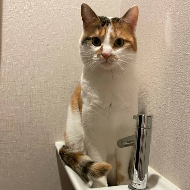 D549deac 39f7 40b1 b6bc 06fae75b3527 1612841774161