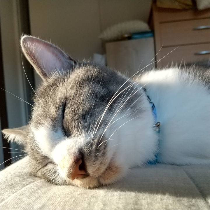 D549e26e 74bf 47b3 96d3 14353940bd23 1601592547181