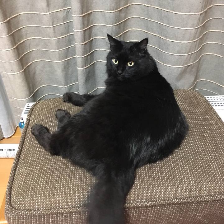 D54a0306 1264 47a3 8984 8ec67ddad3c6 1516374693361