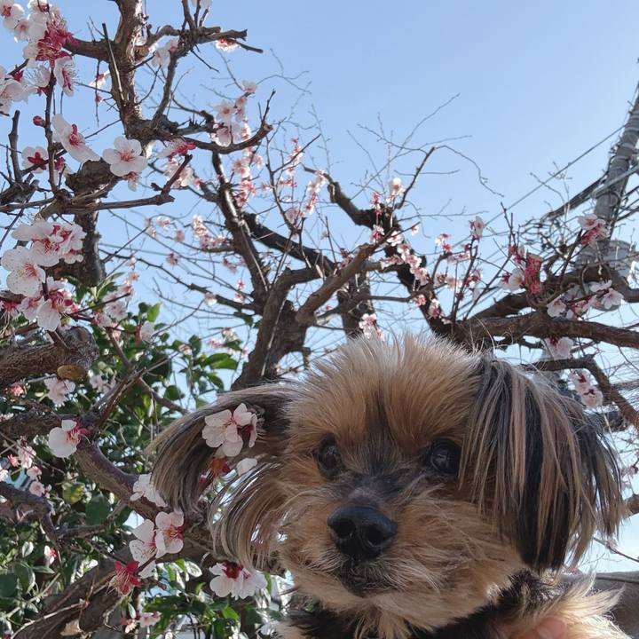 D54a1d71 00df 4279 8243 9b6cbae53128 1772327590573