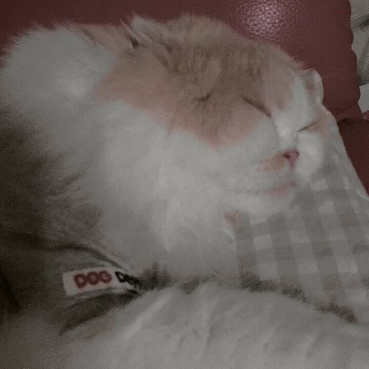 D54a3fde 9d9d 4694 b9a5 fc96170a8053 1551442765065