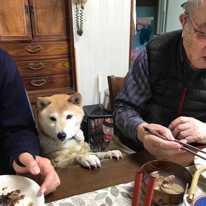 D54a5820 e9ab 4eec be4f 853d24e544e5 1550655724511