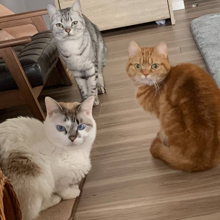 D54aaab2 d02e 4db2 a365 718b4b61bc18 1644137551950