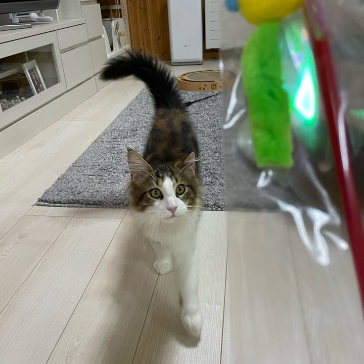 D54ad59f e60b 48cb a136 ca855055e3b8 1637062156476