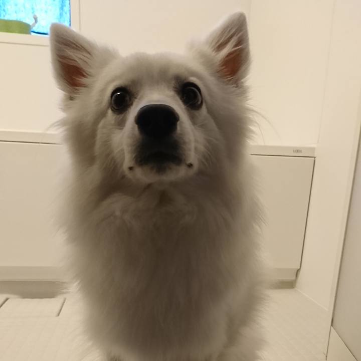 D54b1b5c 5d6b 461e 821b 8f7fbaffd437 1544769165594