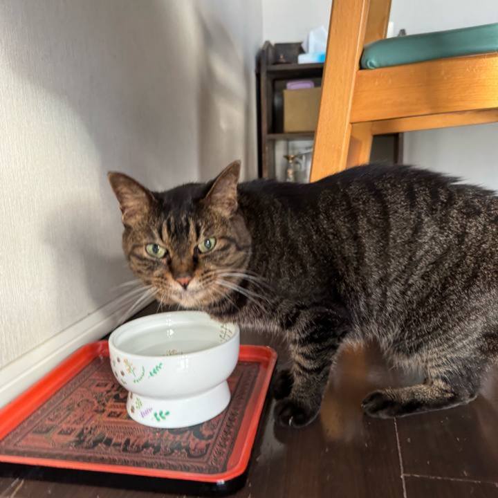 D54b294d 5e7b 4bd2 82d6 e449ce8b454d 1755691028051