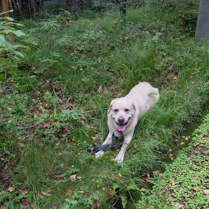 D54b71e9 2182 429b 91ef 0f16f49c4088 1691452779162