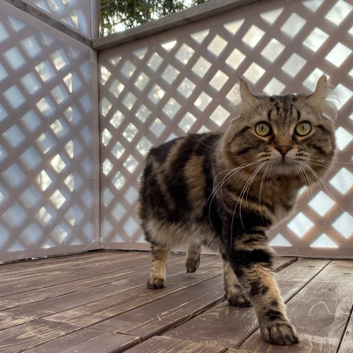 D54b8e5b 2fef 4def ad0c f55b197188f5 1617165973840