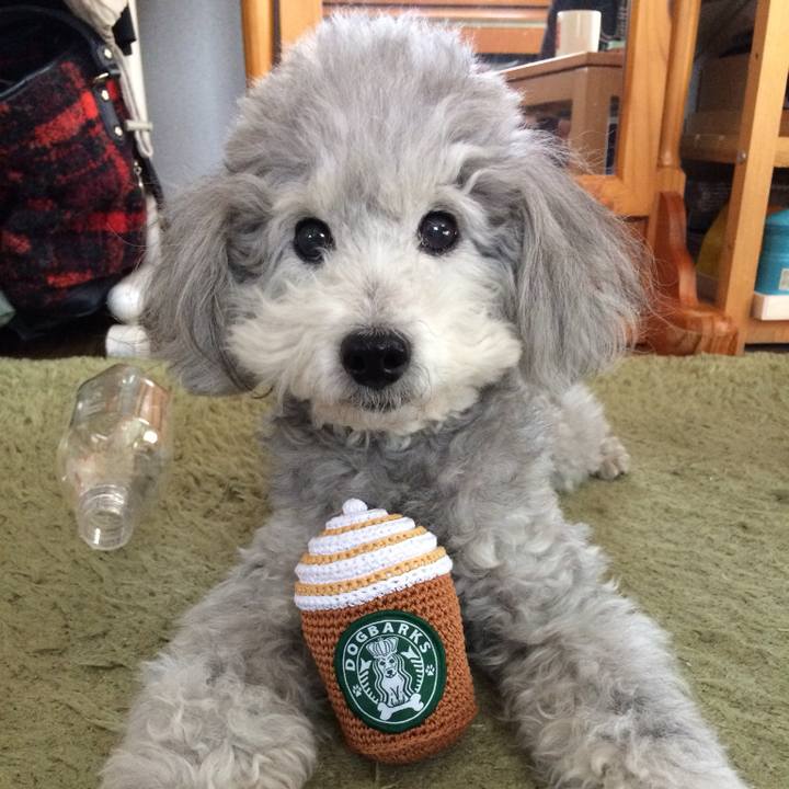 D54ba938 b877 4709 a0e6 031afba867b7 1726101429788