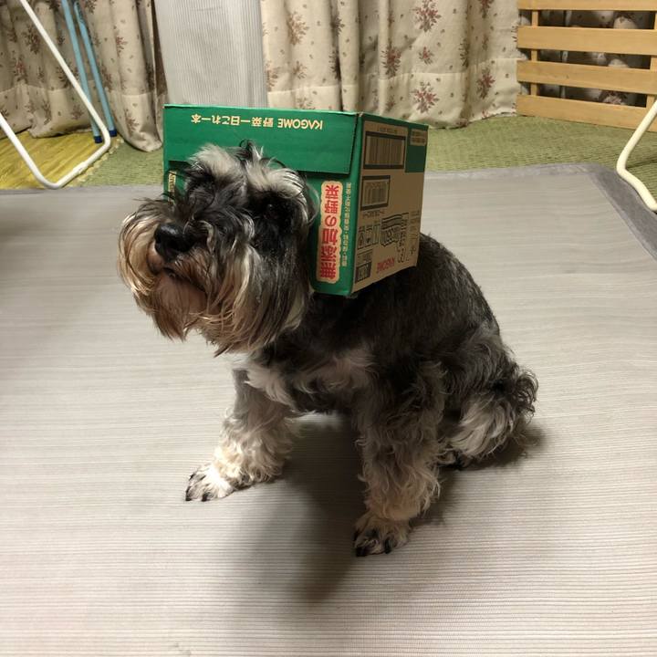 D54bbb66 31e6 4d9c a7b7 61302123b70d 1563453287976