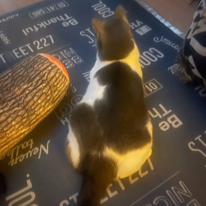 D54bc47c 4853 4ffc b86f aa1c71b51821 1719348371711