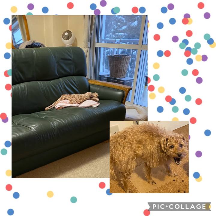 D54bd286 8fab 41d5 9b9d 7c8480ac2050 1677398181620