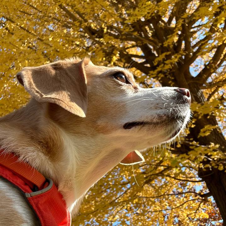 D54bf4dd ca52 4526 919f 36af4118ad27 1668137342404