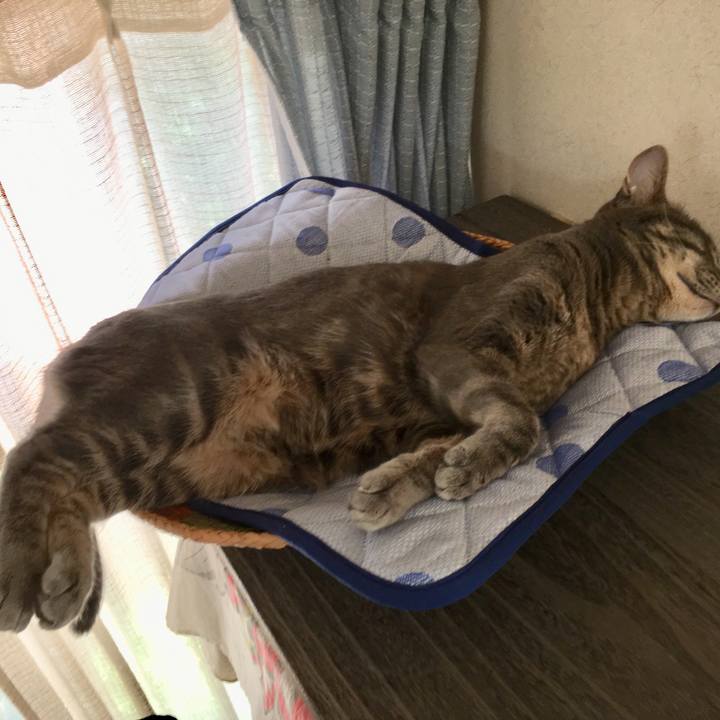 D54bfaf0 ce2d 48fc 8418 e2fda73df436 1528205165081