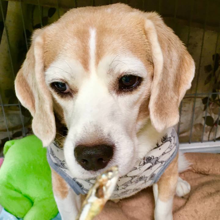 D54c1216 571a 45f3 87b6 05ac464b0037 1751692718639