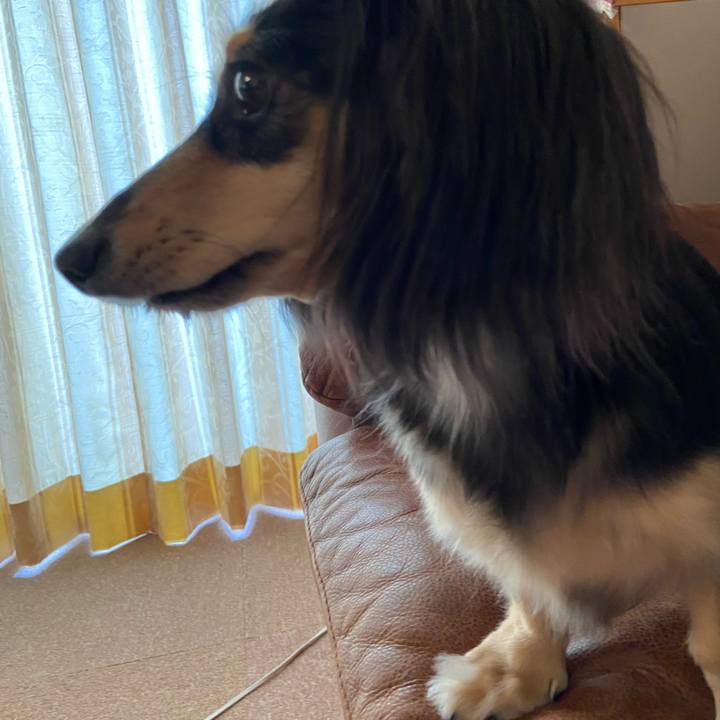 D54c18b5 9f33 486d 8935 11d78a1d27ea 1728182937504