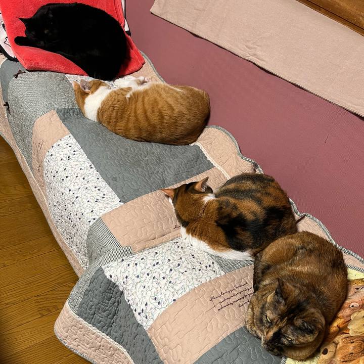 D54c1f27 6069 436e 902e 68b76be56820 1745912568078