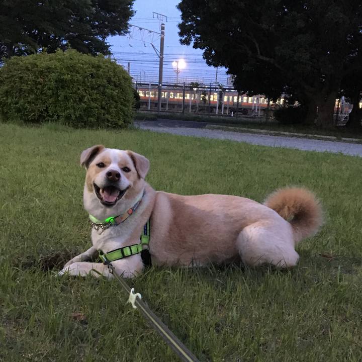 D54c266c 30d9 46b8 940b bee1536c4aad 1526554637208