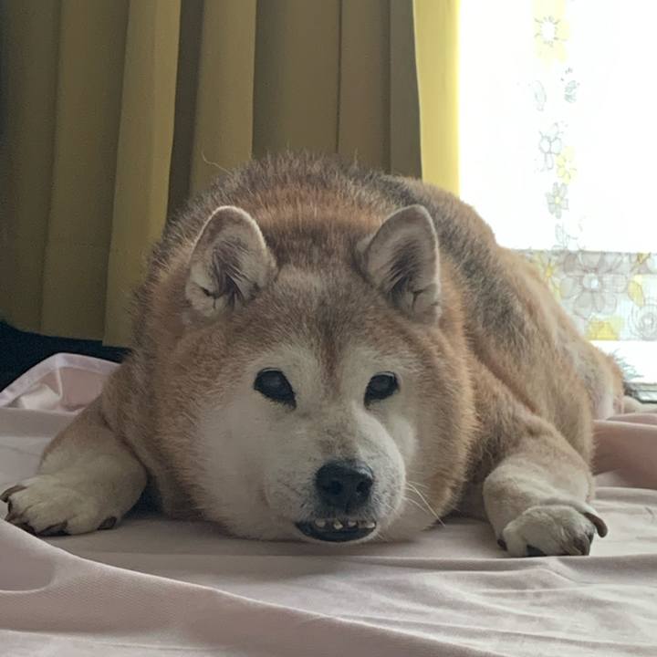 D54c3b95 4cb6 4eee 9b18 754598036c32 1662011236614