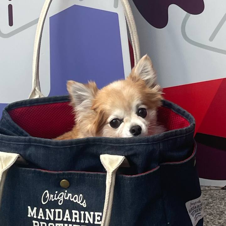 D54c3d58 d3ec 4483 bc6f 17fe2065aded 1767347822938