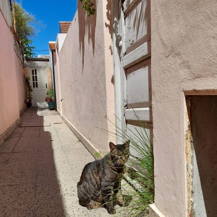 D54c6d26 65a2 4576 b675 b0c71a1f032d 1772749306450