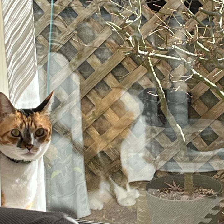 D54c791d 1cab 48b1 87ff bdf88f106ce7 1767153609176