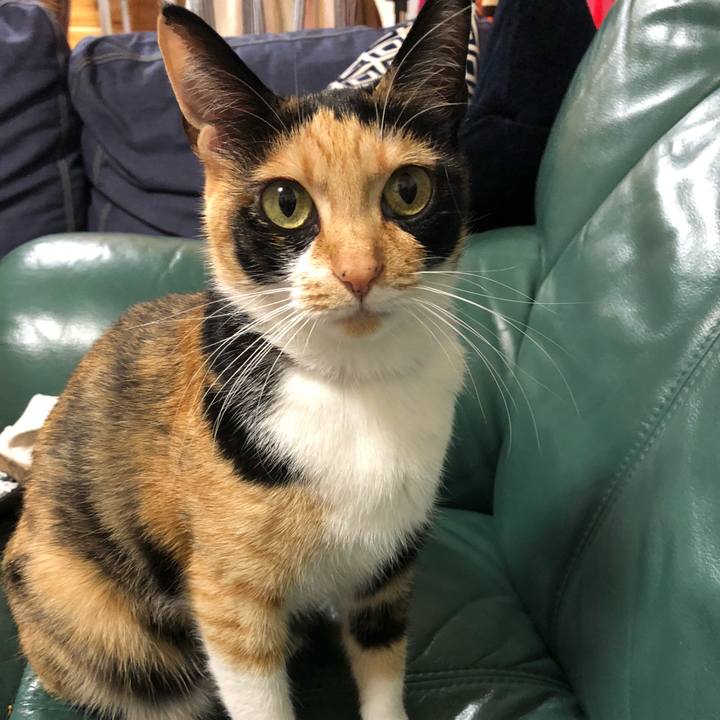 D54c7f40 6363 409f 8115 87fcb80b960a 1525785865741