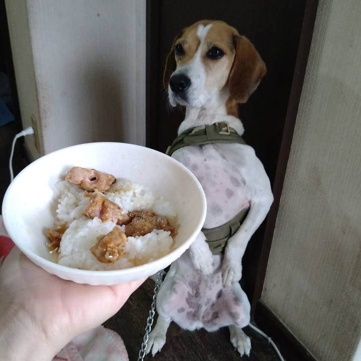 D54ca7dc edfb 42e9 b783 07a44a0ddf23 1667806871113