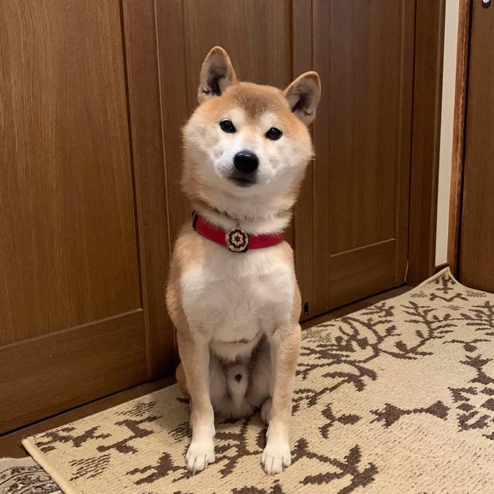 D54cc2b5 98ac 4289 90be db4219e1902e 1608375201491