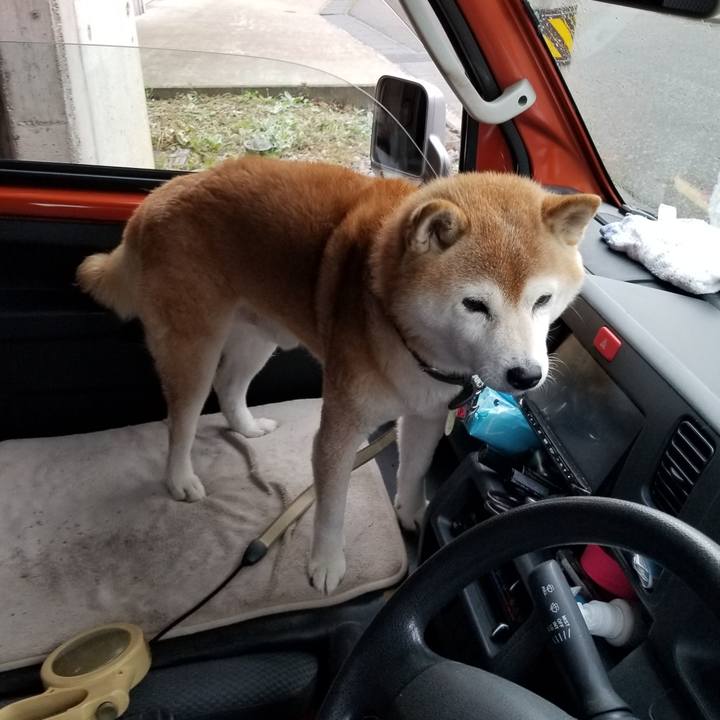 D54cfd54 d98e 4a15 a782 c15fc4ef17dc 1696662737084