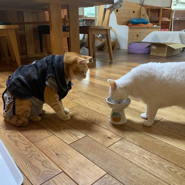 D54d6081 64af 410c 9d4a 51b1590d64fc 1653861156314